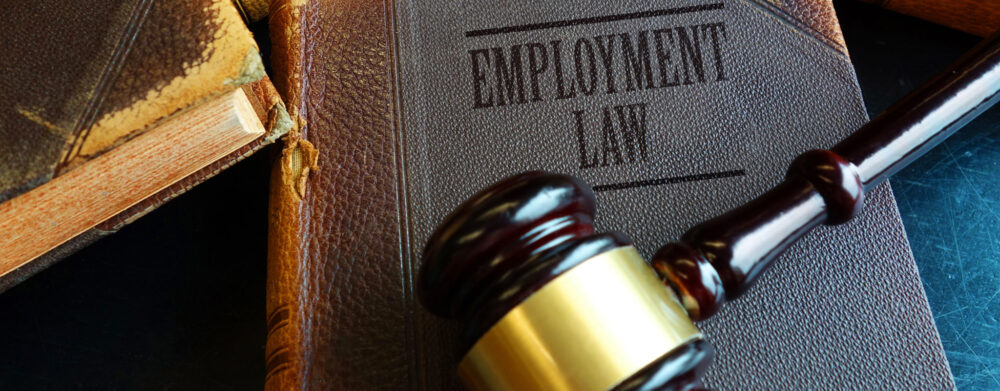 Case Alert:  MML featured in Law360’s “Employment Authority.” | Header Image | McOmber McOmber & Luber